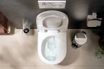 hansgrohe EluPura Original S Wand WC 540 AquaChannel Flush – Bild 2