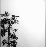 sanibel 1001 Spiegel rechteckig A21 800x600mm ohne Befestigung